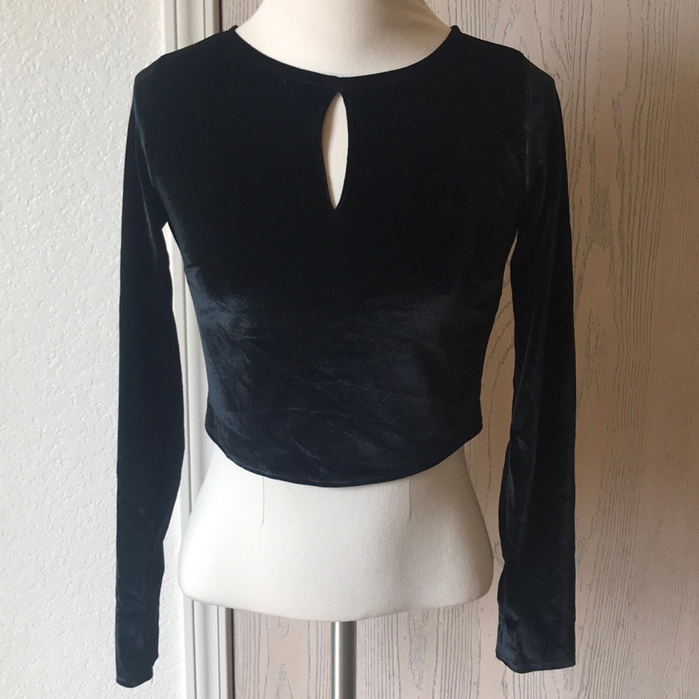 Long Sleeve Velvet Crop Top NWT